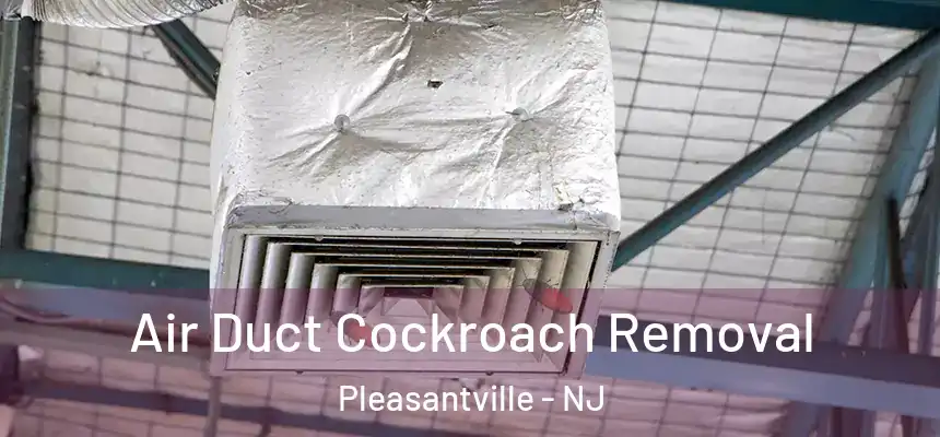  Air Duct Cockroach Removal Pleasantville - NJ