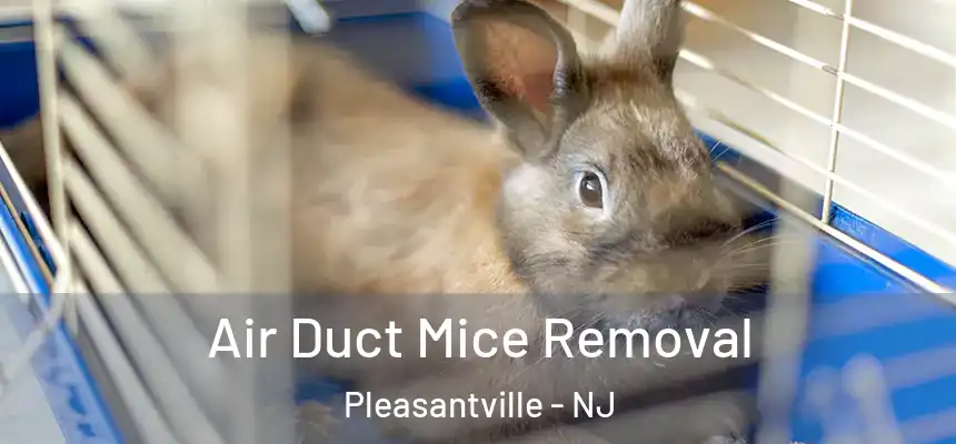 Air Duct Mice Removal Pleasantville - NJ
