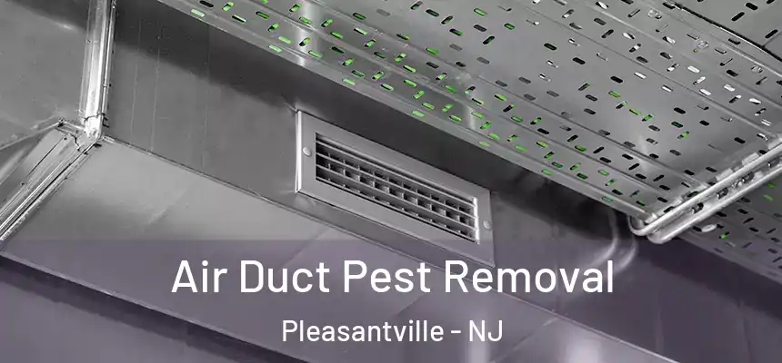 Air Duct Pest Removal Pleasantville - NJ
