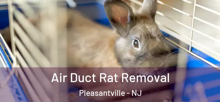 Air Duct Rat Removal Pleasantville - NJ