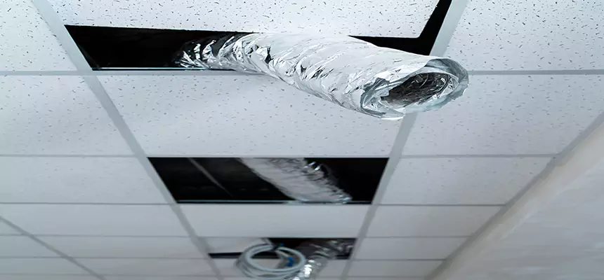 Affordable HVAC Sanitizing After Pest Removal in Pleasantville