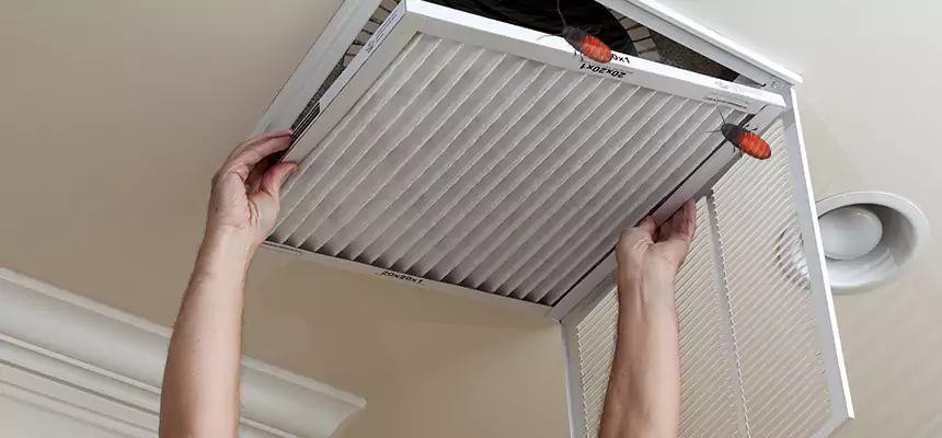 Our Insect Removal from Air Ducts Services in Pleasantville, NJ
