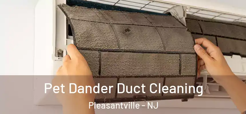 Pet Dander Duct Cleaning Pleasantville - NJ
