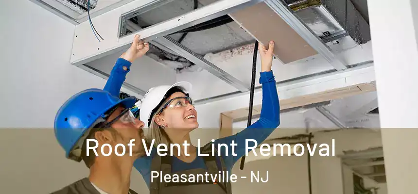  Roof Vent Lint Removal Pleasantville - NJ