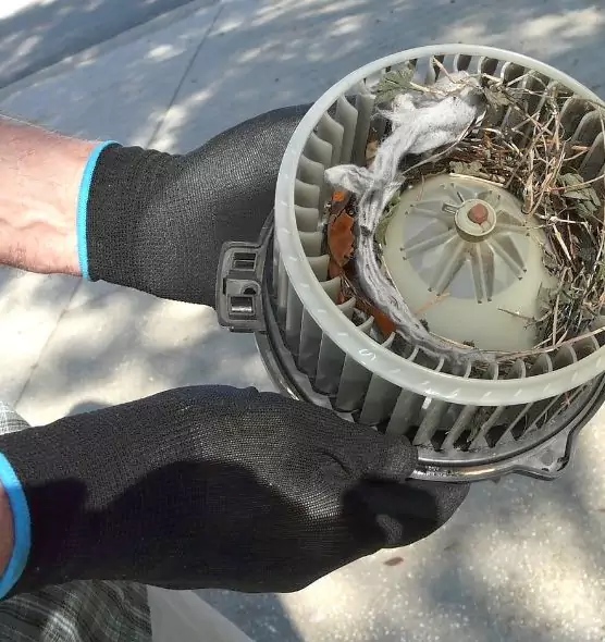 About Air Duct Rat Removal in Pleasantville, NJ