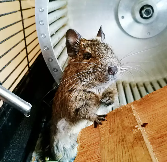 Why Homeowners & Businesses Trust Us Pleasantville, NJ