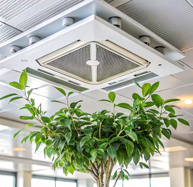 Why Homeowners & Businesses Trust Us in Pleasantville, NJ?